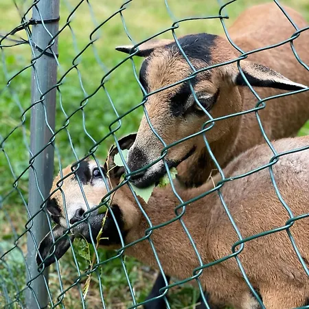 Horsky Dobra Ξενοδοχείο Stachy