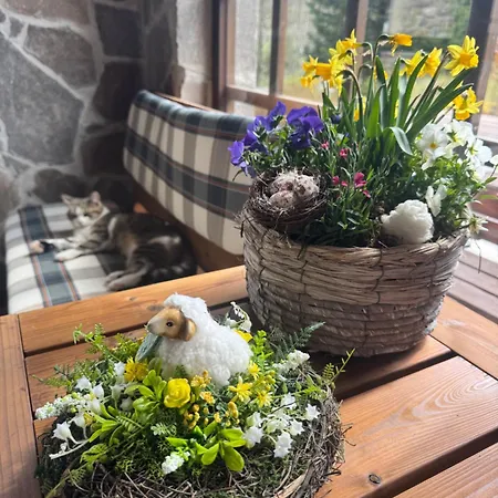 Ξενοδοχείο Horsky Dobra Stachy