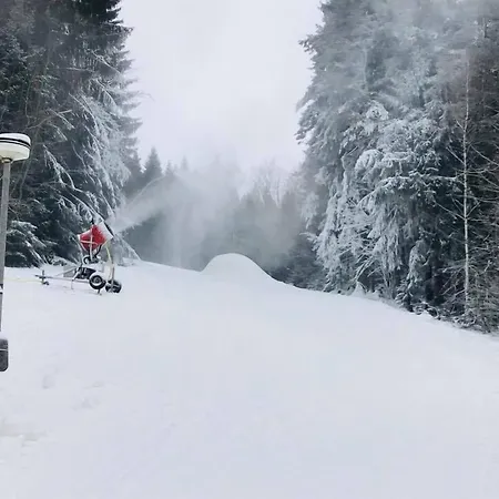 Ξενοδοχείο Horsky Dobra